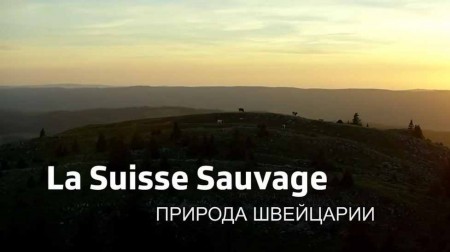 Природа Швейцарии 1 серия. Юра: врата времени / La Suisse sauvage (2020)