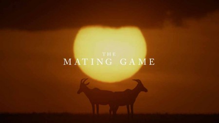 Брачная Игра 4 серия. Пресная вода: время решает все / The Mating Game (2021)