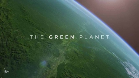 Зелёная планета 1 серия. Тропические миры / The Green Planet (2022)