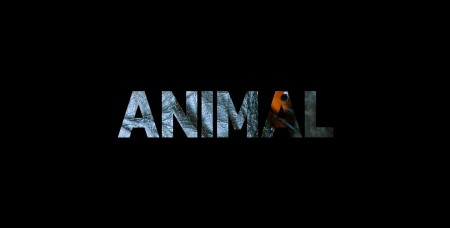 Удивительные животные 2 сезон 1 серия. Приматы / Animal (2022)