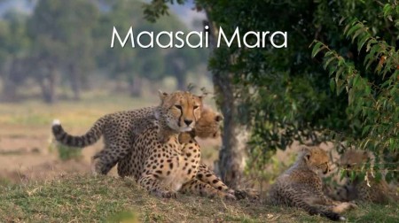 Масаи-Мара 2 сериия. Власть хищников / Maasai Mara (2020)