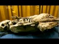 История мумий Самые древние мумии в мире  Бездомная мумия