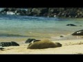 Неизведанные острова 3 Галапагосские острова / Galapagos