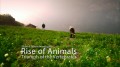 BBC История животного мира с Дэвидом Аттенборо 1 Из моря в небо HD