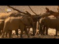 Хоаниб — секреты пустынных слонов (2014) National Geographic