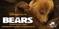 Медведи / Disneynature: Bears (2014) HD