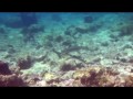 Папуа Секретный остров каннибалов (2013) HD