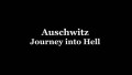 Освенцим. Путешествие в ад (2013) HD