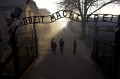 Освенцим / Auschwitz (2011)
