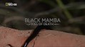 Черная мамба: поцелуй смерти (2014) National Geographic