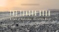 Книга тундры: Повесть о Вуквукае - маленьком камне (2011)