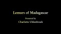BBC Лемуры Мадагаскара / Lemurs of Madagascar