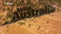 Дикая Австралия 3 В царстве вомбата (2014) HD