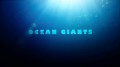 BBC Гиганты океанов 1 Жизнь гигантов