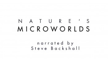 BBC Микромиры / Nature's Microworlds 10. Йеллоустон (2012)