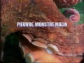 Хитроумный осьминог / Pieuvre, monstre malin