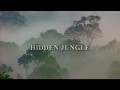 Невидимки в джунглях / Hidden Jungle