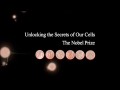 Загадки наших клеток Нобелевские лауреаты