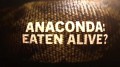 Анаконда: Съеденный заживо / Anaconda: Eaten Alive (2014) HD