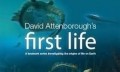 BBC Первая Жизнь Дэвид Аттенборо 1 Зарождение