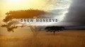 Снежные макаки Японии / Snow Monkeys (2014) HD