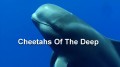 Гринды – Морские Охотники / Cheetahs Of The Deep (2013) HD
