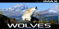 Волки / IMAX Wolves (1999)