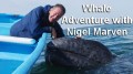 Вслед за китами с Найджелом Марвином 1 Путешествие начинается (2013)