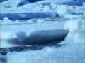 BBC horizon Обледенение Земли / Snowball Earth (2001)