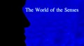Мир чувств / The World of Senses 4 Обоняние и вкус Фактор чувственности