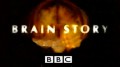 BBC Тайны Мозга 4 Первый среди равных