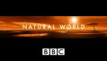 BBC Мир природы. Таинственный сад / The Natural World.