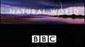 BBC Мир природы. Перекрёстки Нансита / The Natural World.