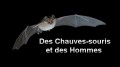 Летучие мыши и люди / Des Chauves-souris et des Hommes (2009)