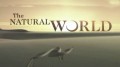 BBC Мир Природы. Между сушей и водой / The Natural World. At the Edge of the Sea