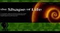 Форма Жизни / The Shape of Life - Высший Зверь HD