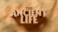 Тайны древних цивилизаций / The Ancient Life 01. Под Великой Пирамидой (2011)