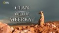 Клан Сурикатов / Clan Of The Meerkat (2010) HD