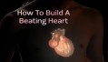 Как создать работающее сердце / Explorer: How To Build A Beating Heart (2010)