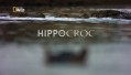Бегемот против крокодила / Hippocroc / Hippo Vs. Crocodile (2013) HD