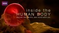 BBC Внутри Человеческого Тела / Inside the Human Body 01. Сотворение (2011)