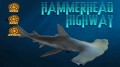 Специальный выпуск: Пути акулы-молота / Special: Hammerhead Highway (2008) National Geographic HD