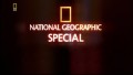 Специальный выпуск: Смертоносная колония / Deadly colony (2005) National Geographic Special