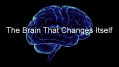 Пластичность Мозга / The Brain That Changes Itself Фильм 2 (2010)