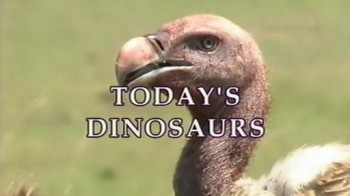 Динозавры сегодня / Today's Dinosaurs 1 серия (2005)