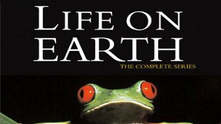 BBC Жизнь на Земле / Life on Earth 6 Вторжение на сушу HD