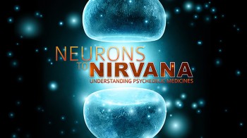 От нейронов к нирване. Медицинское применение психоделиков / Neurons to Nirvana. Understanding Psychedelic Medicine (2013) HD