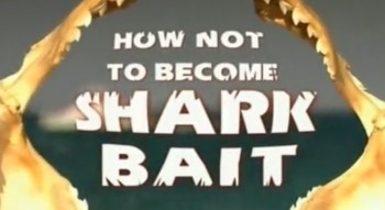 Как не стать добычей акул (2008)