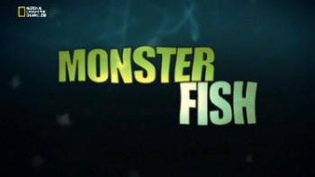 Рыбы-чудовища / Monster Fish / Гигантский угорь