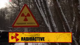 Радиоактивные волки Чернобыля / Radioactive Wolves (2011)